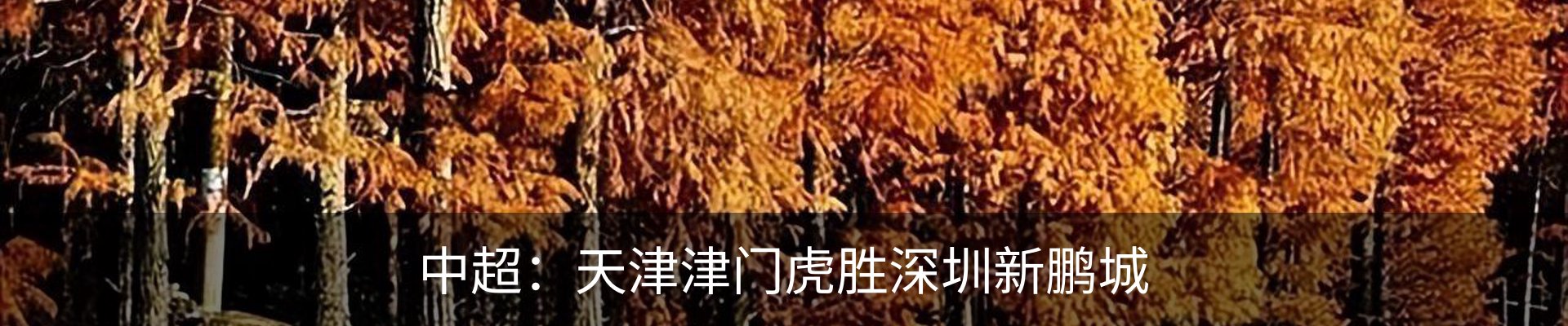 内页banner